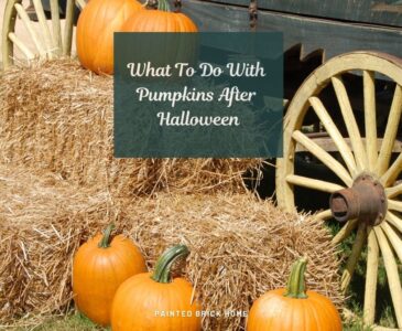 What to do with pumpkins after Halloween