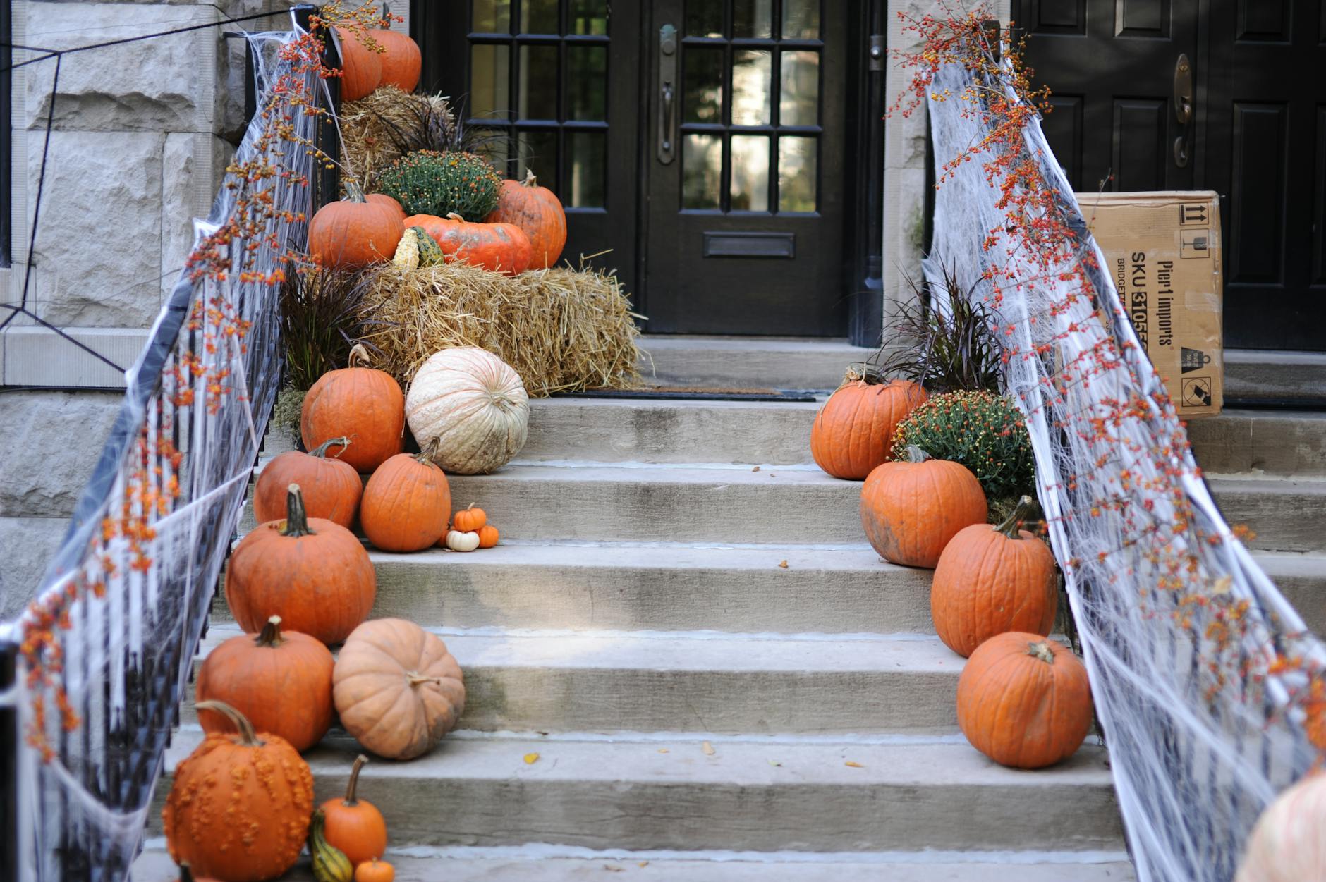 pumpkin display