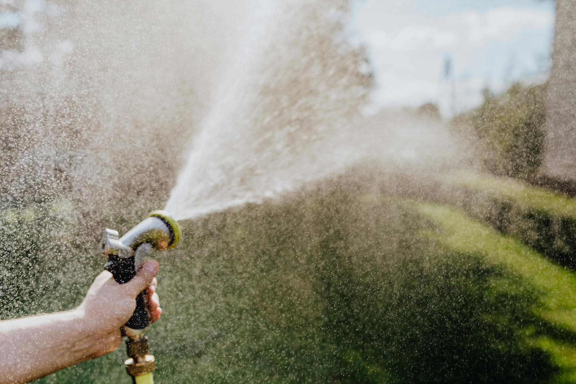 close up photo of water coming out of a spray hose