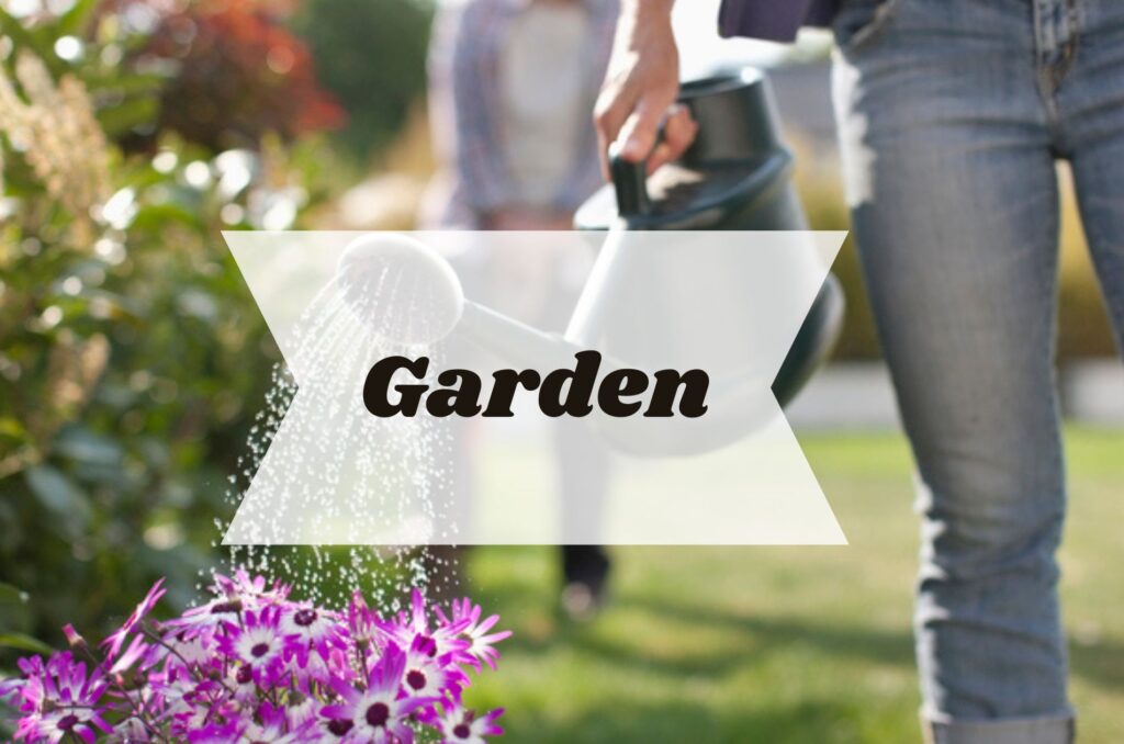 Watering the garden with a watering can