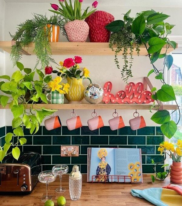 Open shelving in the kitchen decorated with plants and colorful kitchen items