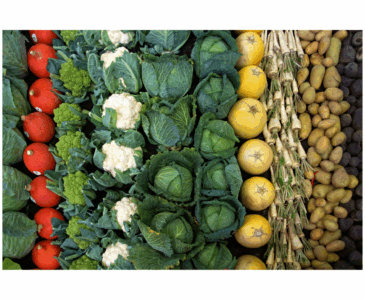 Vegetables to grow in your garden