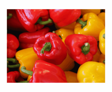 Red and Yellow Bell Peppers
